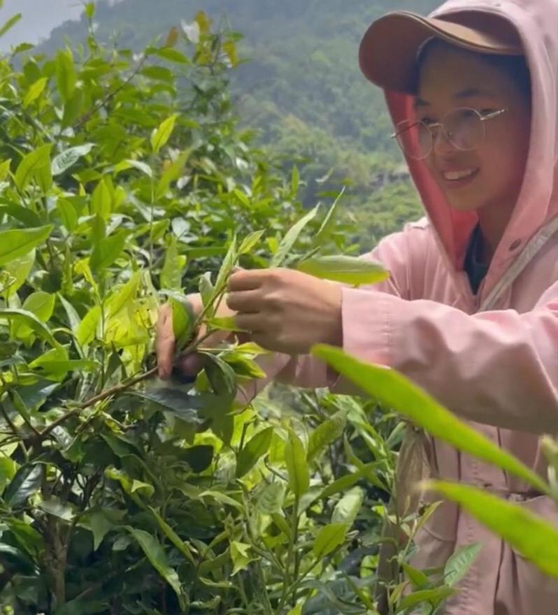 Bikki'S Jungle Homestay 하 기앙 외부 사진