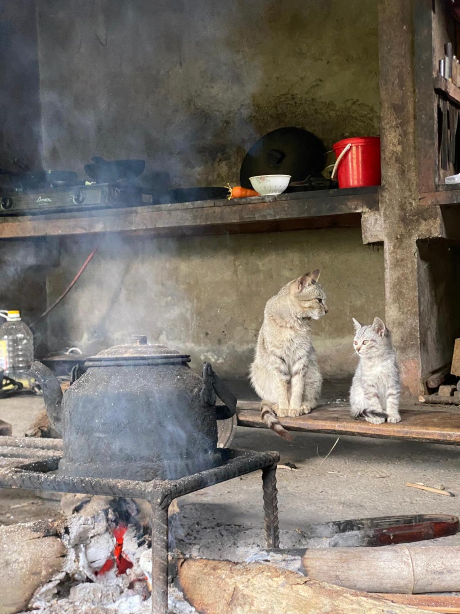 Bikki'S Jungle Homestay 하 기앙 외부 사진