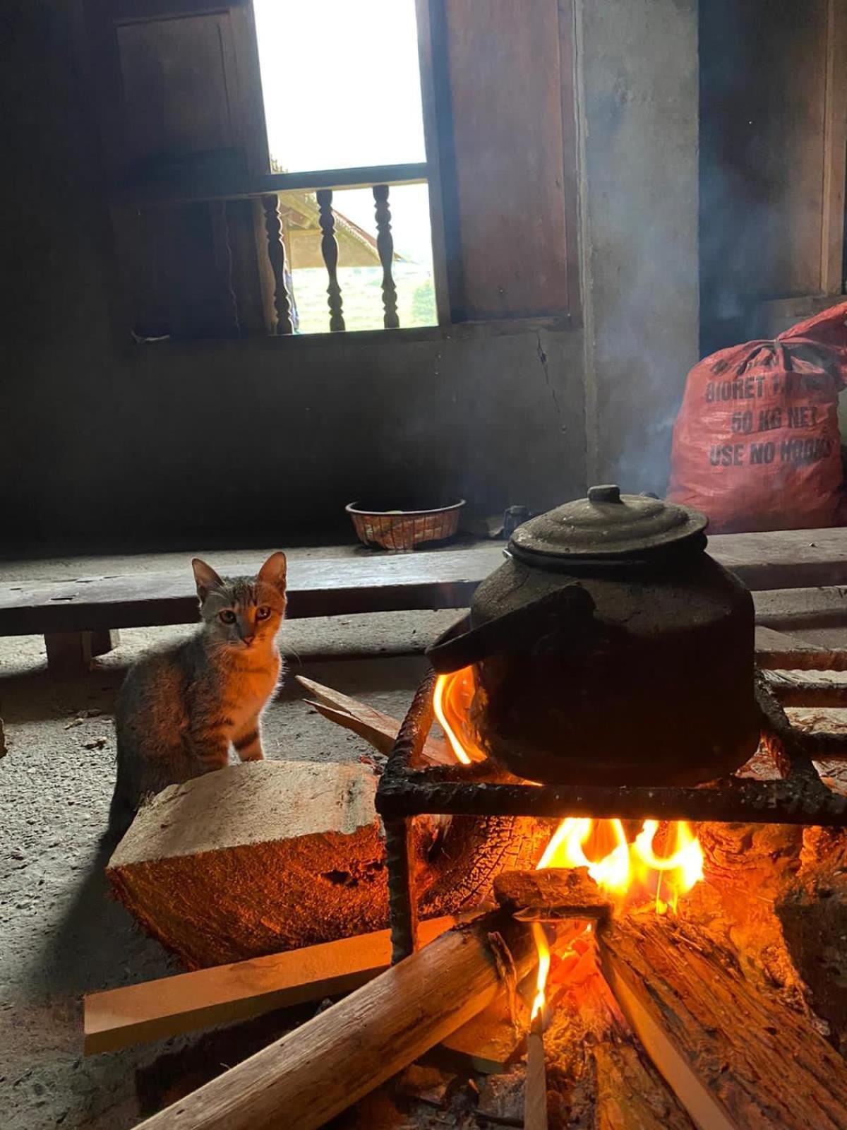 Bikki'S Jungle Homestay 하 기앙 외부 사진