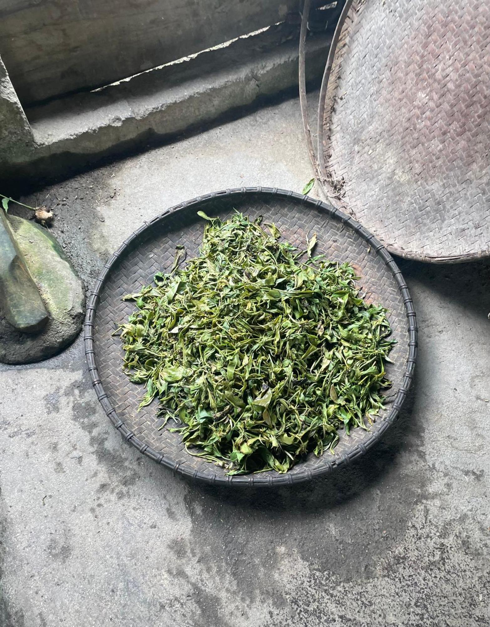 Bikki'S Jungle Homestay 하 기앙 외부 사진
