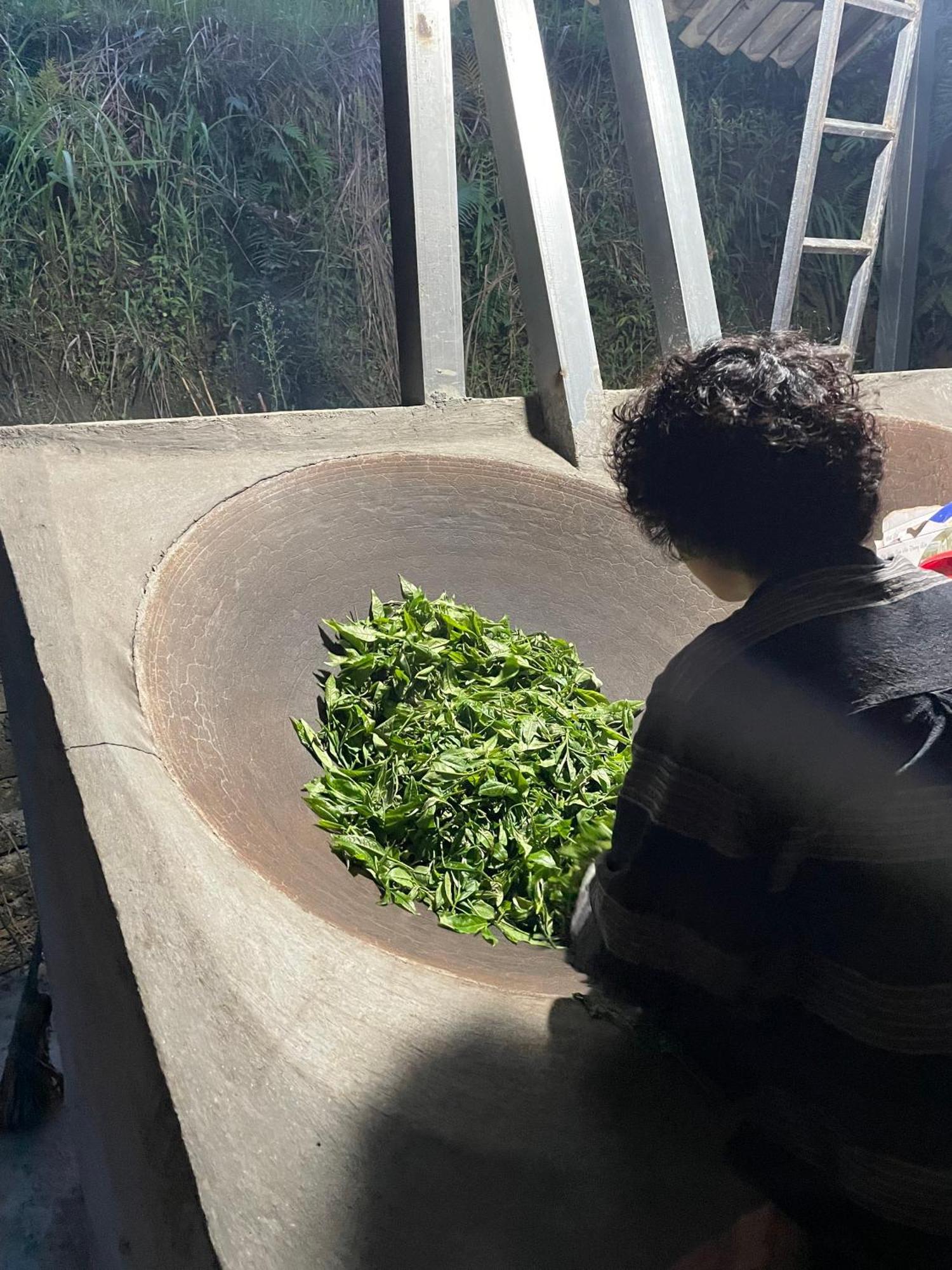 Bikki'S Jungle Homestay 하 기앙 외부 사진